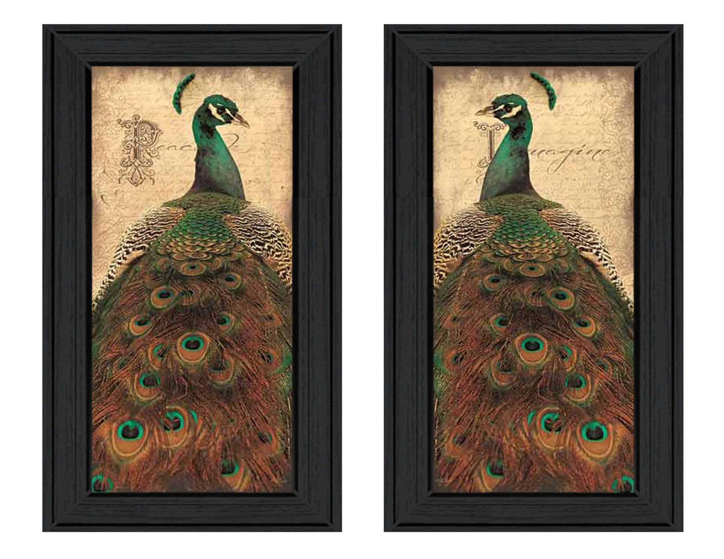 "Peacock Collection" 2-Piece Vignette Wall Decor By John Jones