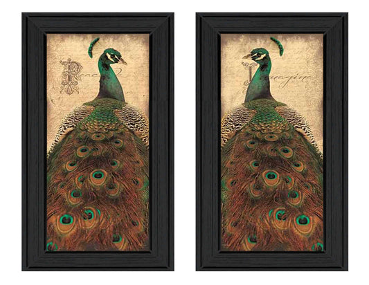 "Peacock Collection" 2-Piece Vignette Wall Decor By John Jones