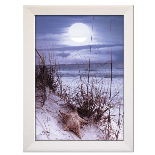"The Seashore" Wall Art By John Jones