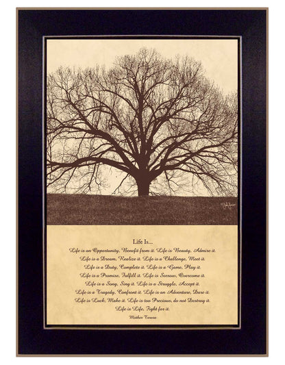 "Life Is" Wall Art by John Jones