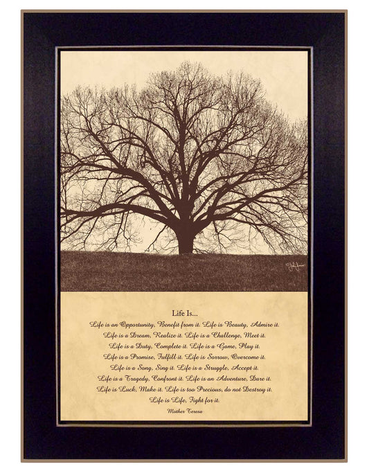 "Life Is" Wall Art by John Jones